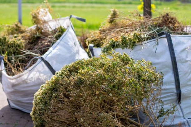 Best Construction Debris Removal  in Gowanda, NY
